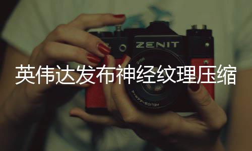 布神缩 达发低8占用最高英伟理压显存可降经纹